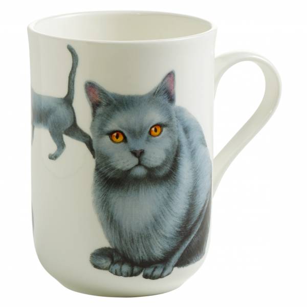 Katze Britisch Kurzhaar Tasse Becher Kaffeetasse Haustier Porzellan Geschenk 
