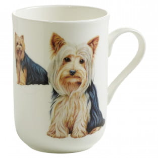 PETS Becher Yorkshire Terrier Hund, Bone China Porzellan, in Geschenkbox